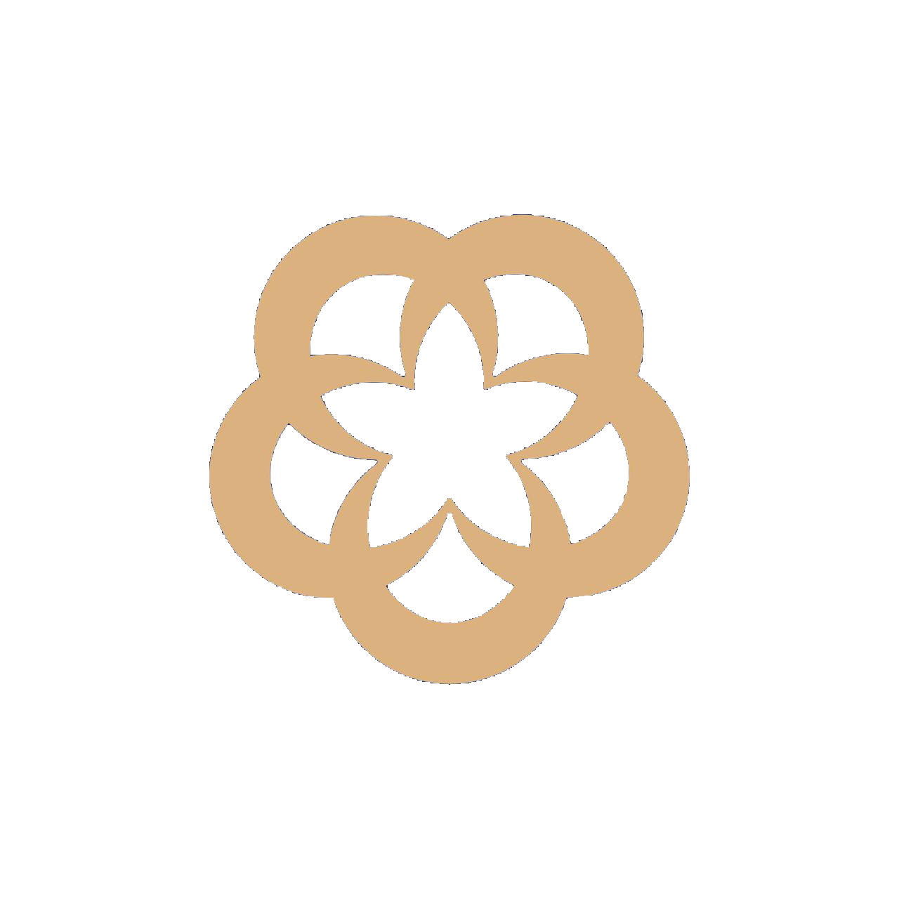 Khalifa Foundation